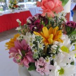 IMG_0333 IMG_0333