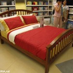 IMG_0951 IMG_0951