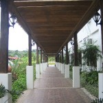 IMG_8896