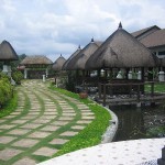 IMG_8935